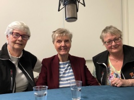 Barbro Westerholm, Gunnel Agrell Lundgren, Lena Hjelmérus