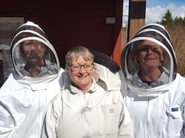 Anna Pettersson, Jerker Pettersson, Lena Hjelmérus, Suanne Havn