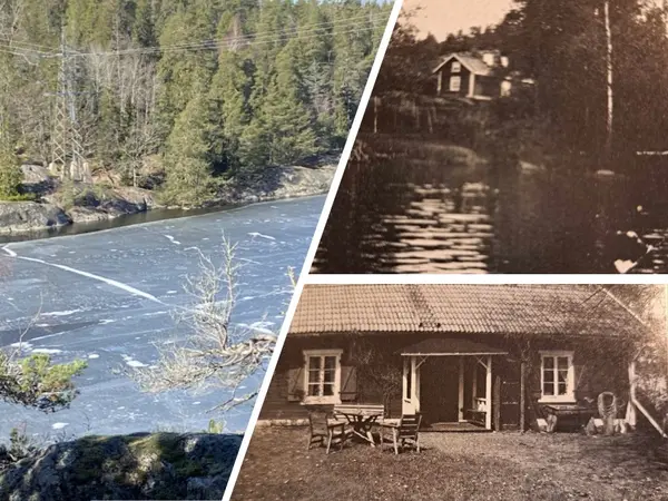 Bild på medverkande