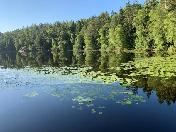 Bild på medverkande