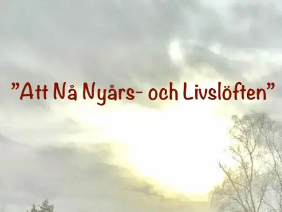 Bild på medverkande