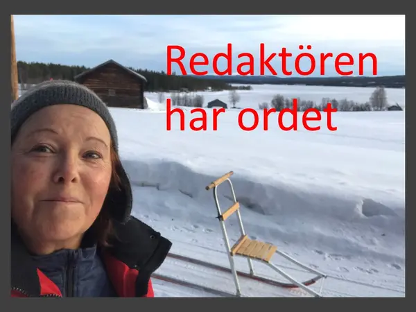 Bild på medverkande