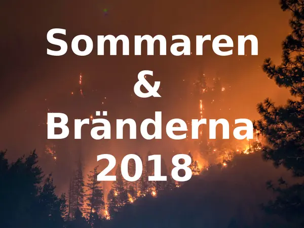 Bild på medverkande