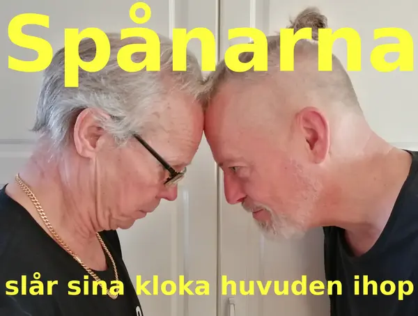 Bild på medverkande