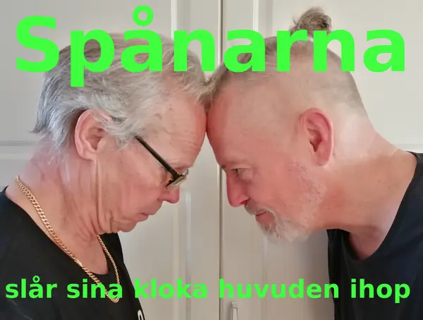 Bild på medverkande