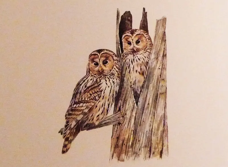 Calle Carlin, Elisabeth Carlin, Gunnel Agrell Lundgren