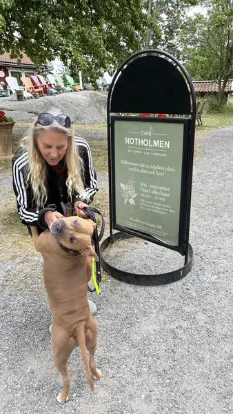 Bild från En härlig dag på Notholmen