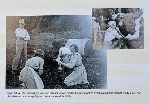 Bild från Hembygdsföreningens kalender 2027