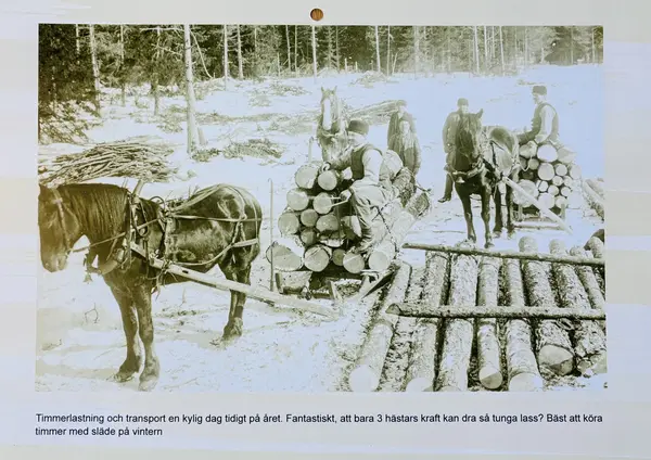Bild från Hembygdsföreningens kalender 2027