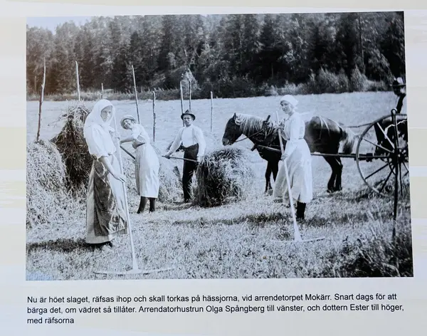 Bild från Hembygdsföreningens kalender 2027