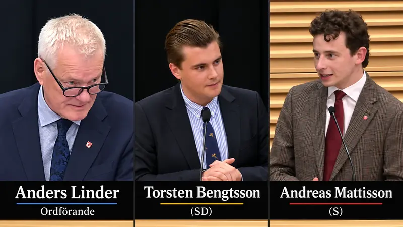 Anders Linder, Andreas Mattisson, Ann Sandin-Lindgren, Torsten Bengtsson